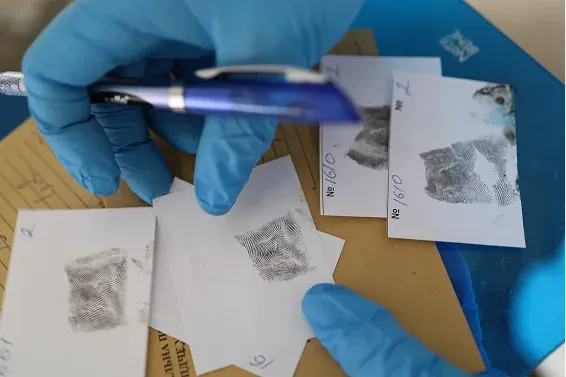 Forensic examiner reviewing fingerprint cards